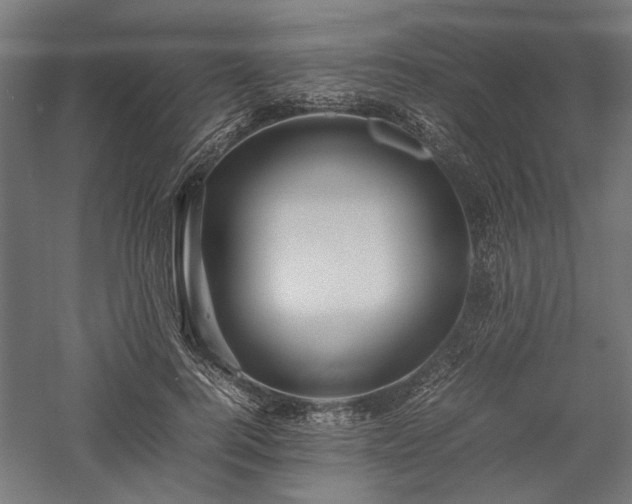 X0000057560744200509231159