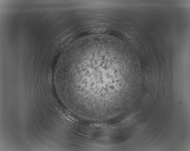 X0000057560745200509231159