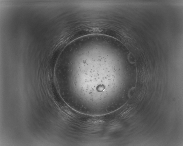 X0000057560747200509231159