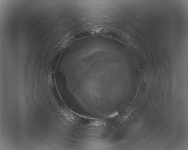 X0000057560754200509231159