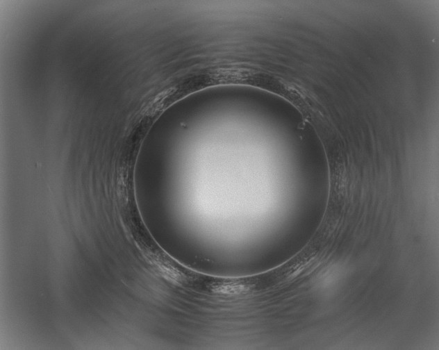 X0000057560759200509231159