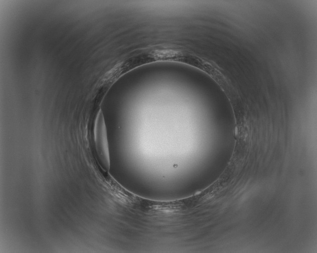 X0000057560763200509231159