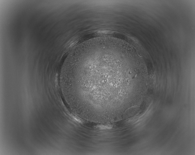 X0000057560765200509231159