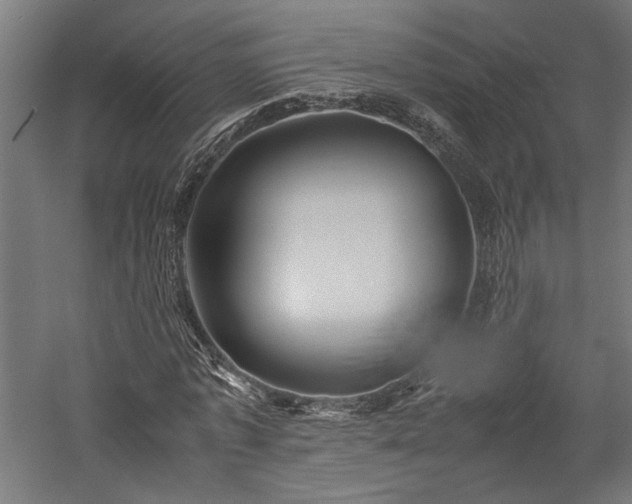 X0000057560773200509231158