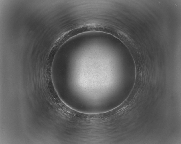 X0000057560776200509231158