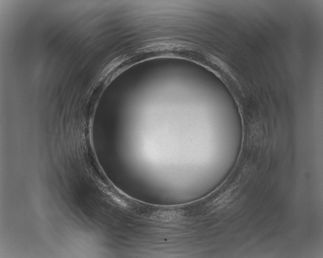 X0000057560778200509231158