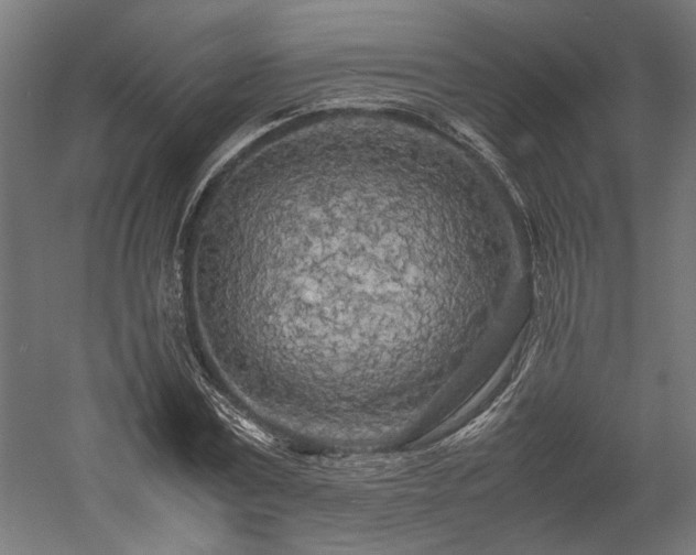 X0000057560779200509231158