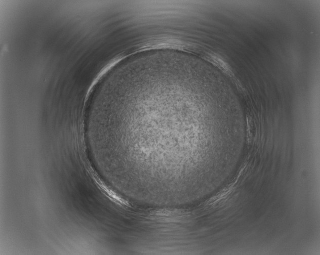 X0000057560780200509231158