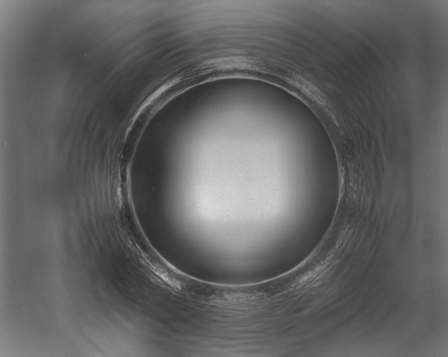 X0000057560782200509231158