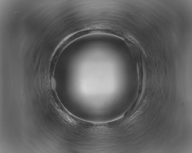 X0000057560784200509231158