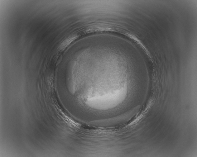 X0000057560785200509231158