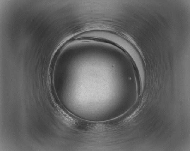 X0000057560787200509231158