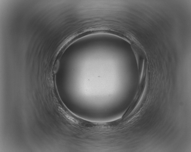 X0000057560789200509231158