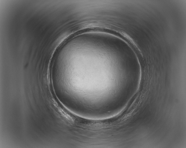 X0000057560791200509231158