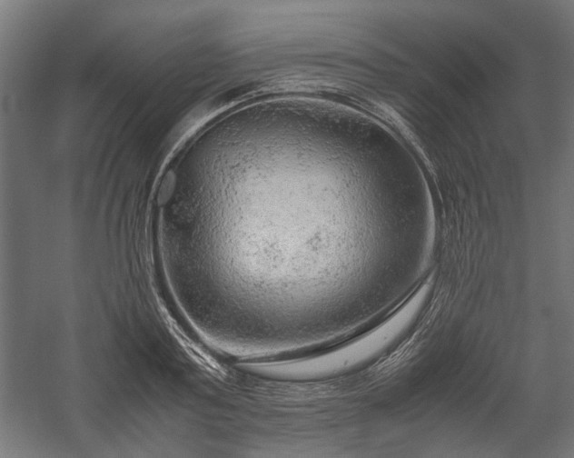 X0000057560795200509231158