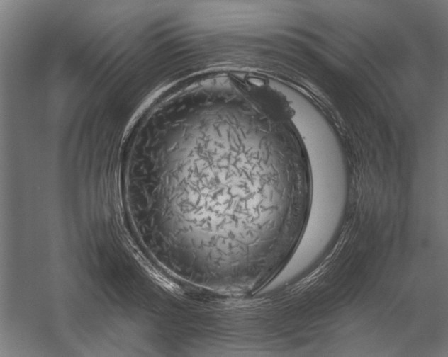 X0000057560796200509231158