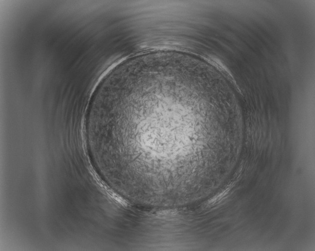 X0000057560798200509231158