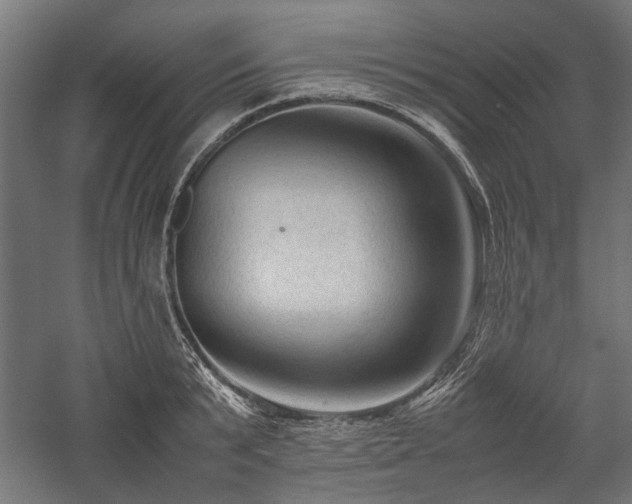 X0000057560799200509231158