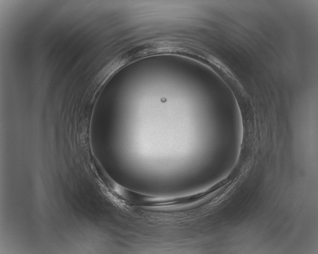 X0000057560801200509231158