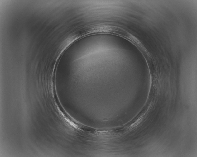 X0000057560802200509231158