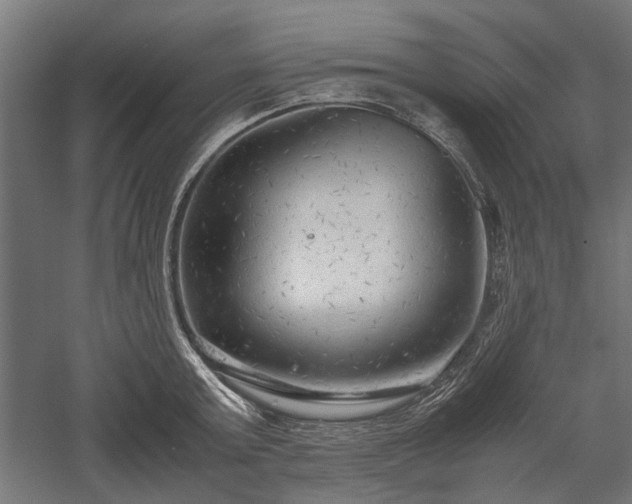 X0000057560803200509231158