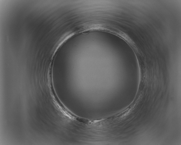 X0000057560806200509231158