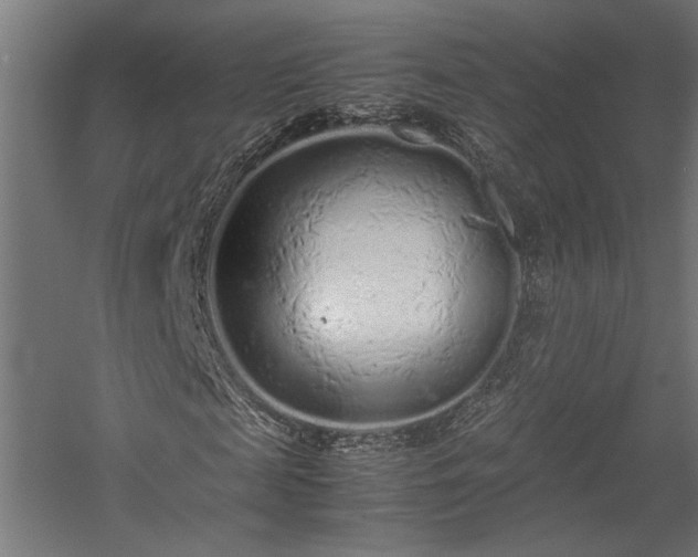 X0000057560817200509231157