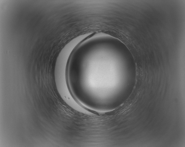 X0000057560818200509231157