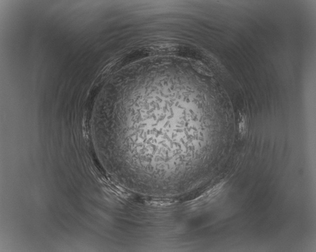 X0000057560819200509231157