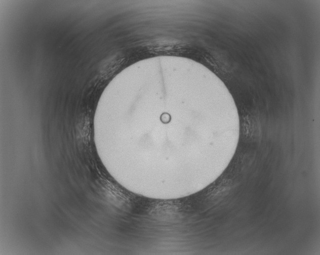 X0000057560820200509231157