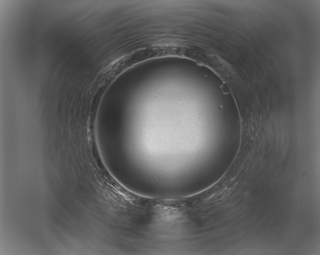 X0000057560821200509231157