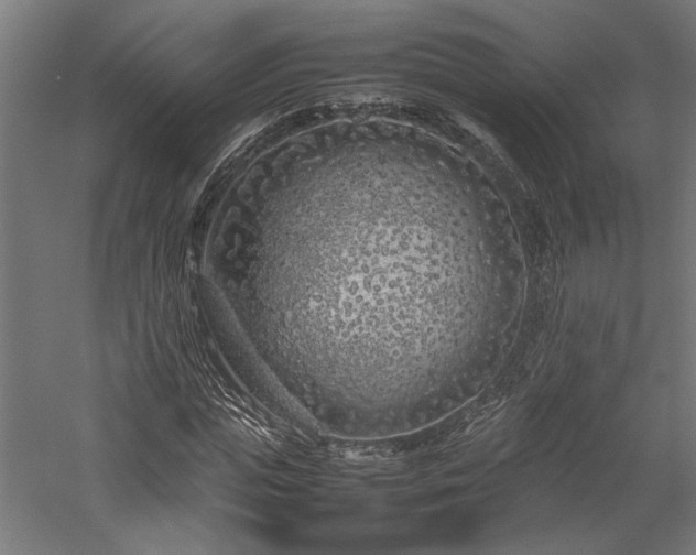 X0000057560823200509231157