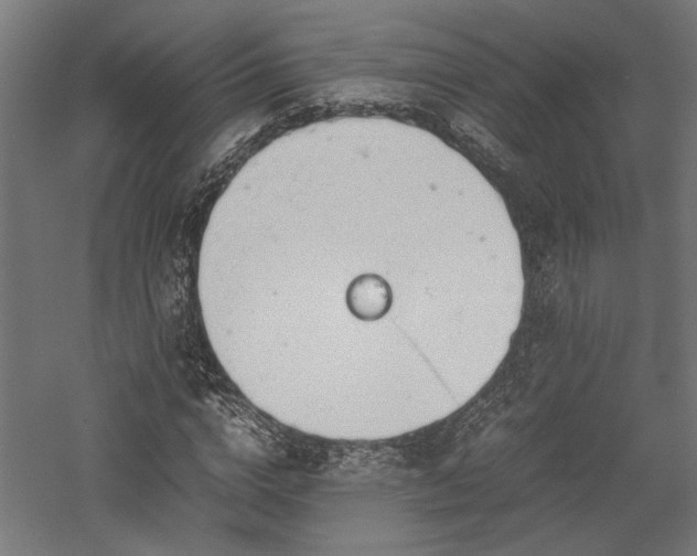 X0000057560824200509231157