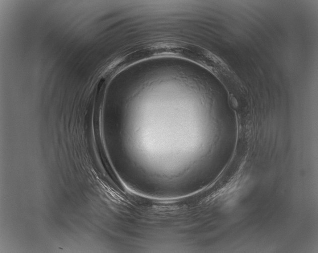 X0000057560825200509231157