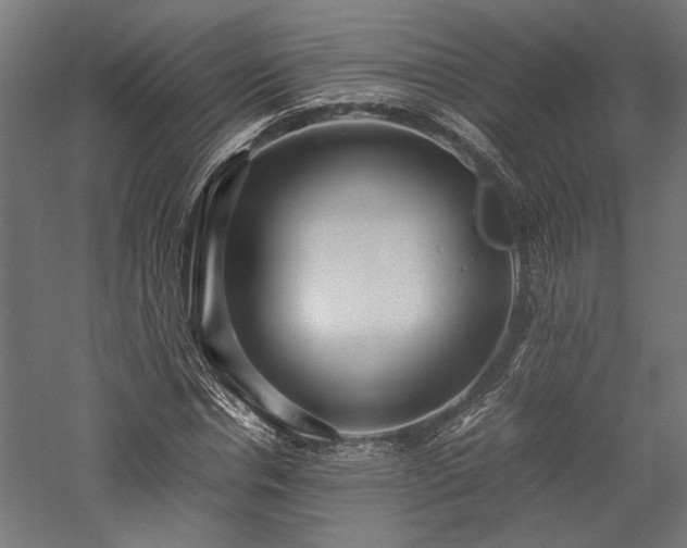 X0000057560826200509231157