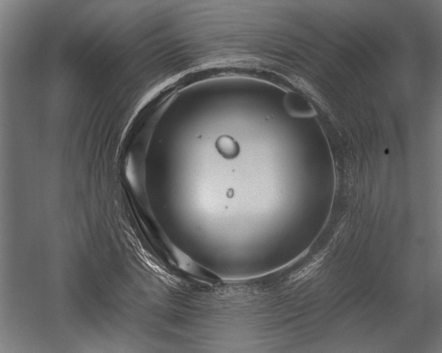 X0000057560830200509231157