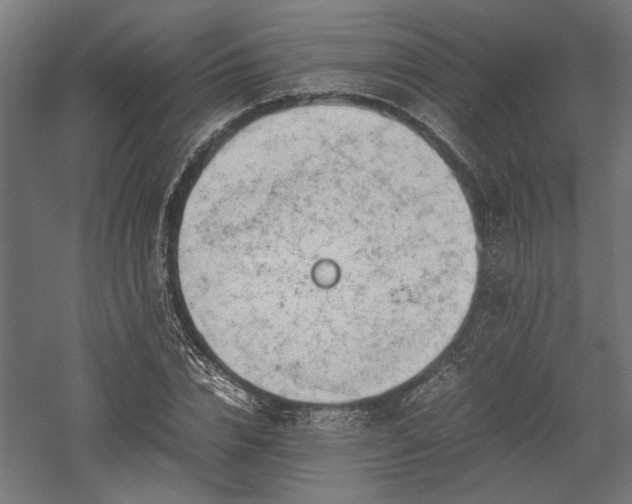 X0000057560832200509231157