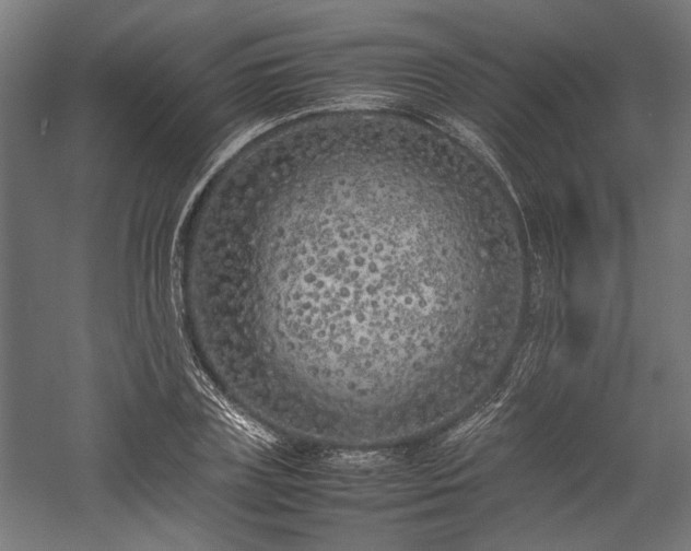 X0000057560835200509231157