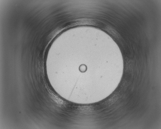 X0000057560836200509231157