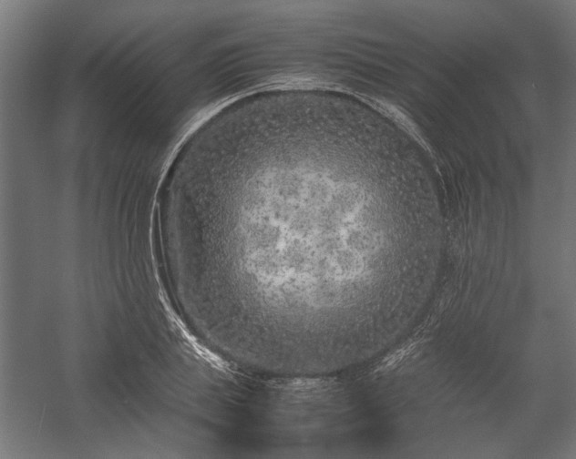 X0000057560839200509231157