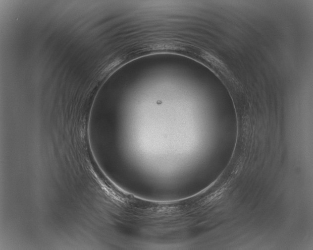 X0000057560841200509231157