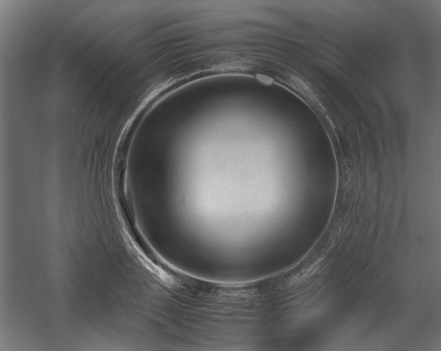 X0000057560843200509231157