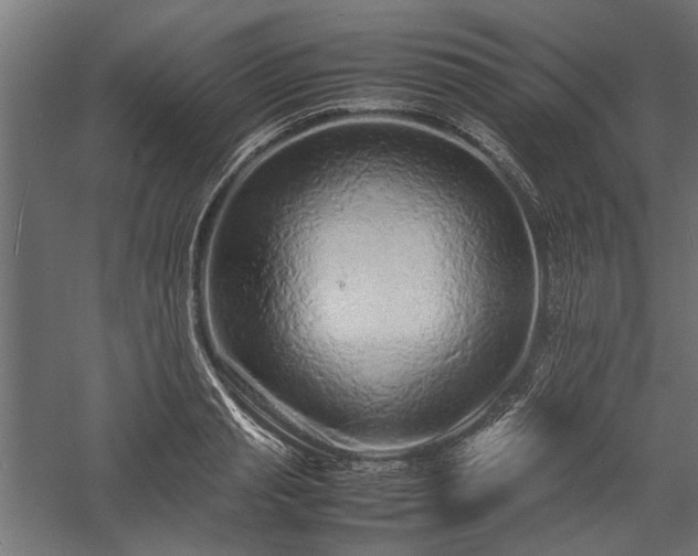 X0000057560845200509231157