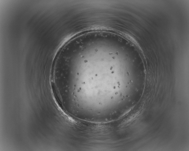 X0000057560847200509231157