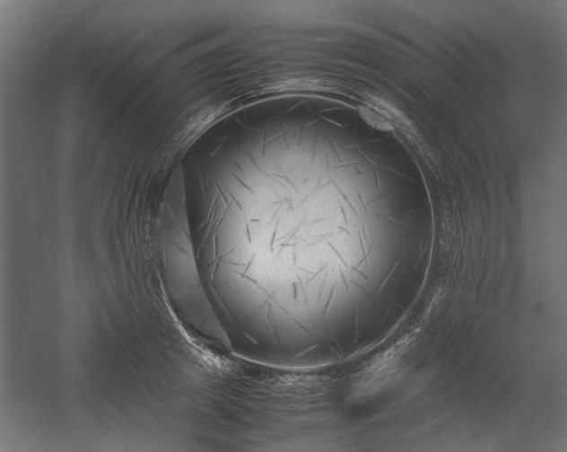 X0000057560849200509231157