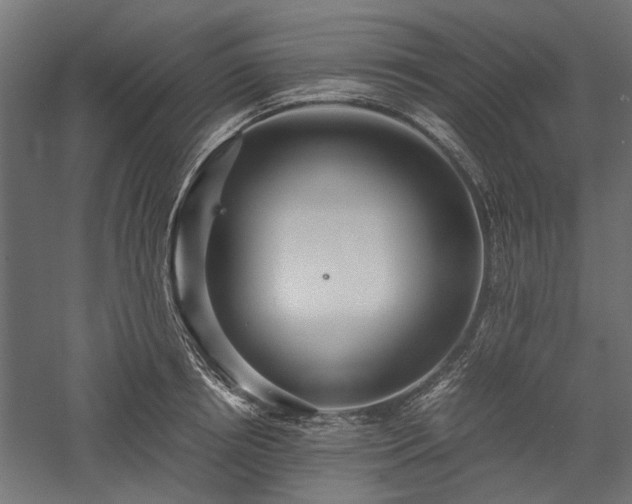 X0000057560850200509231157