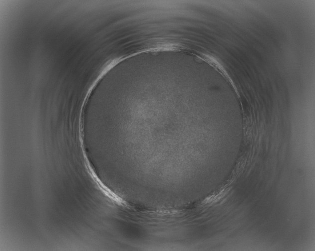 X0000057560851200509231157