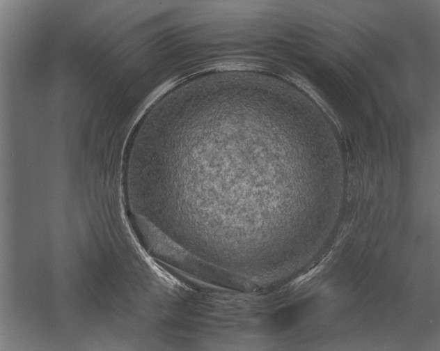 X0000057560853200509231157