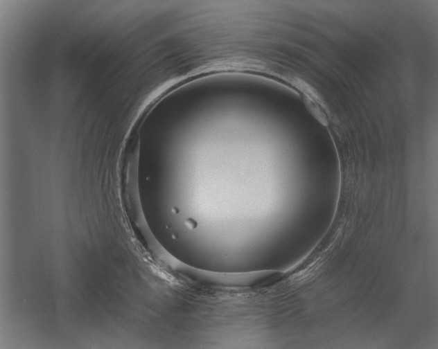 X0000057560854200509231157