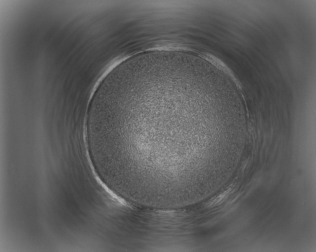 X0000057560855200509231157